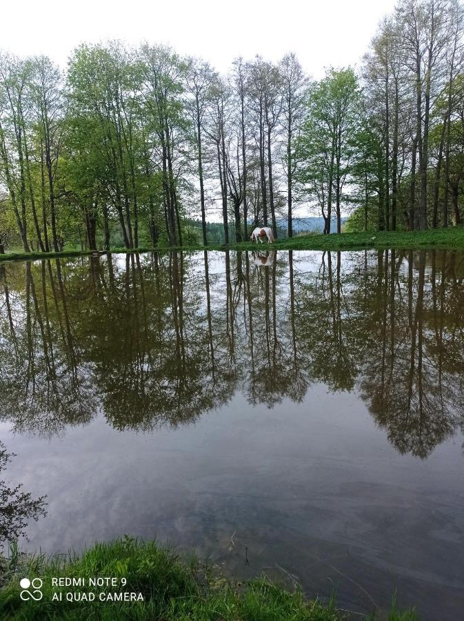 Apartmany U Becova Nad Teplou Bečov nad Teplou Dış mekan fotoğraf